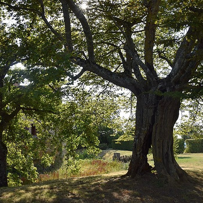 Photo de Maison forte de Mornay
