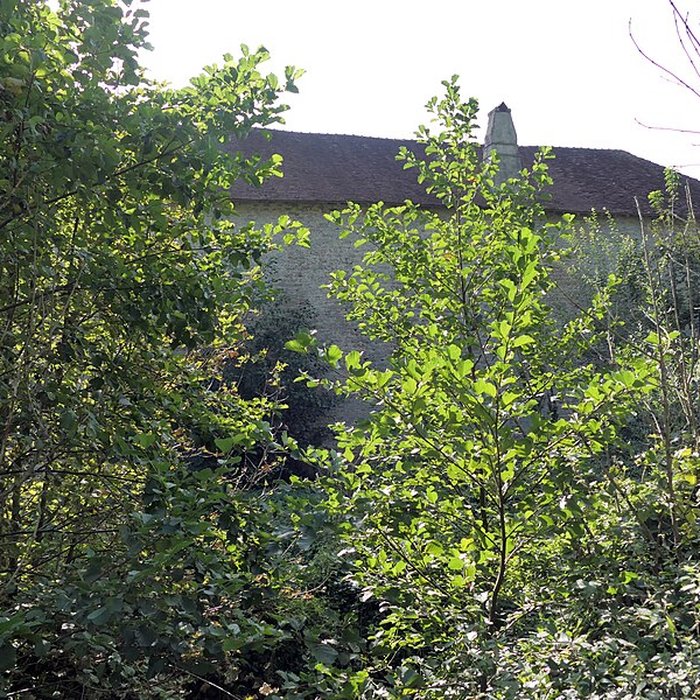 Photo de Maison forte de Sorans-lès-Breurey