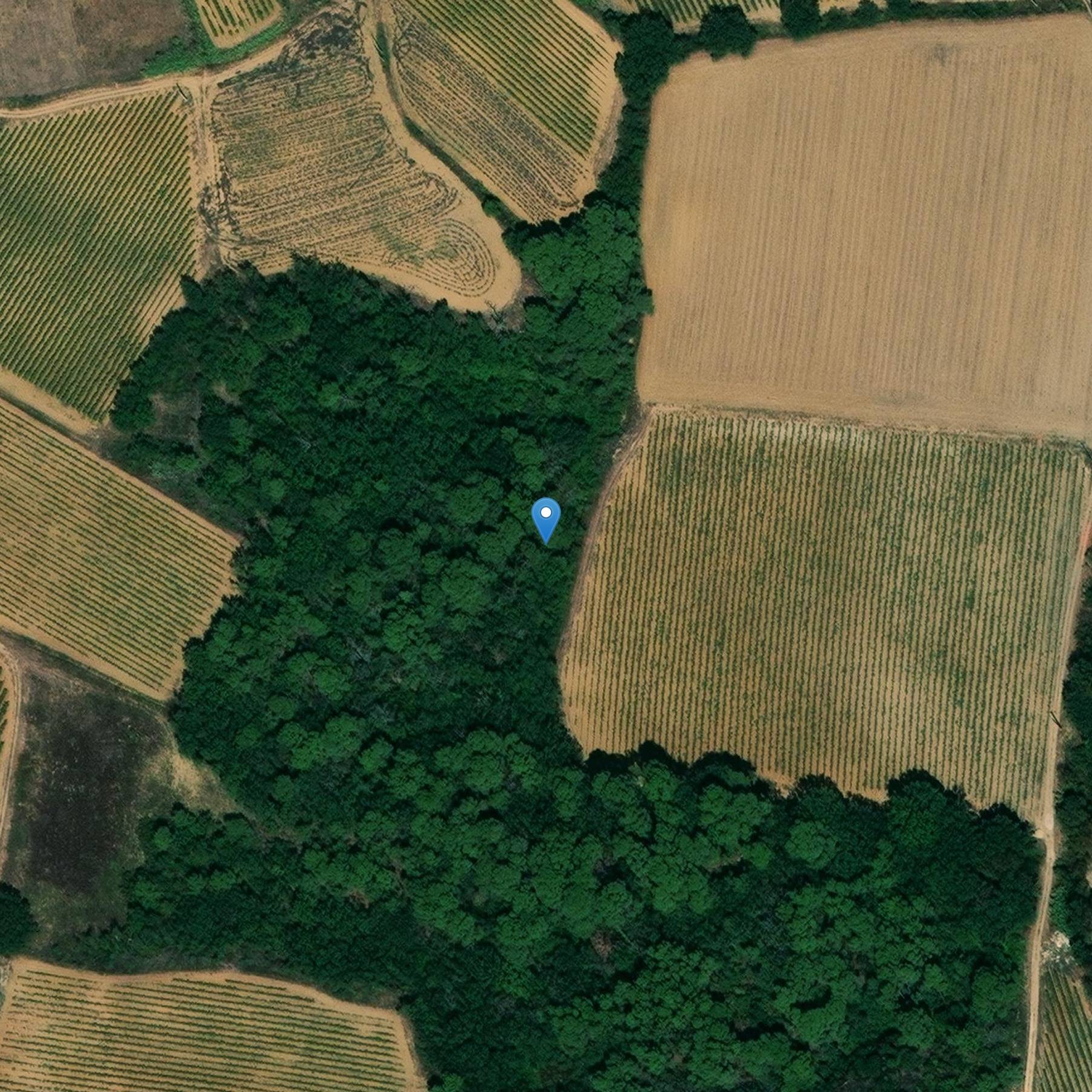 Photo de ベツィアーズのアケダクト