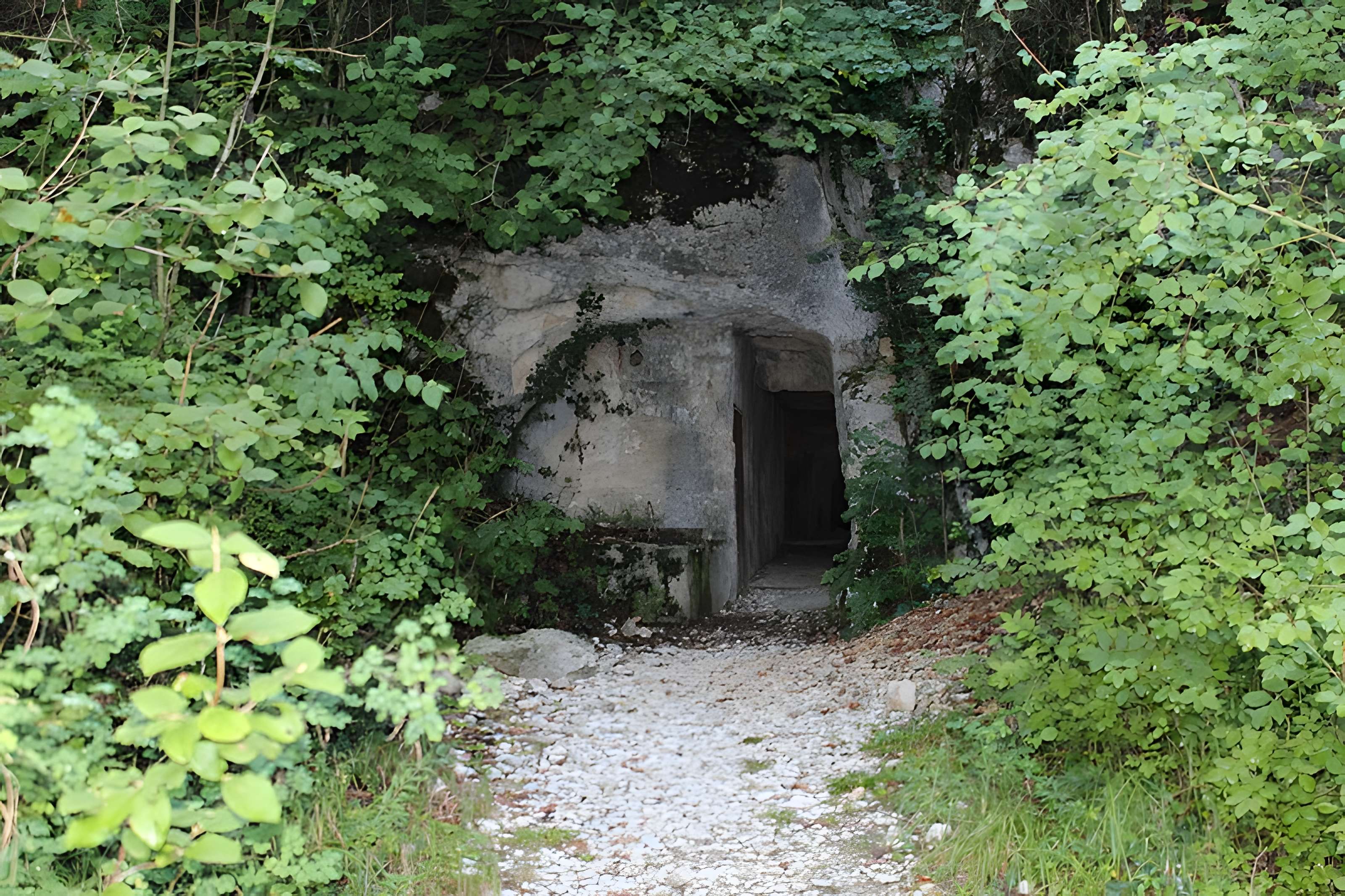 Aqueduc romain de Briord