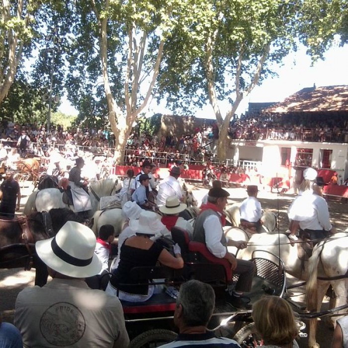 Photo de Arènes de bouvine