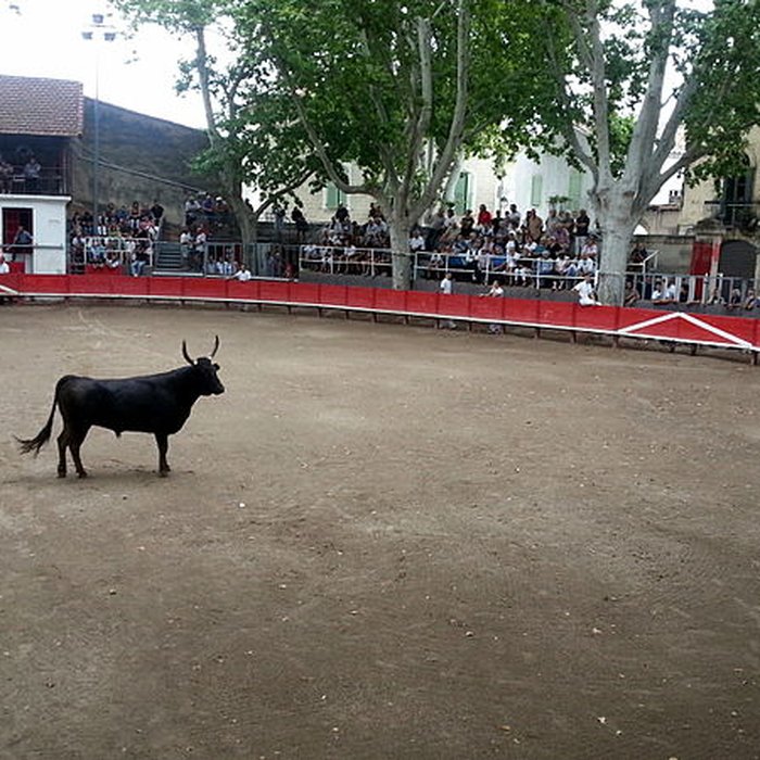 Photo de Arènes de bouvine