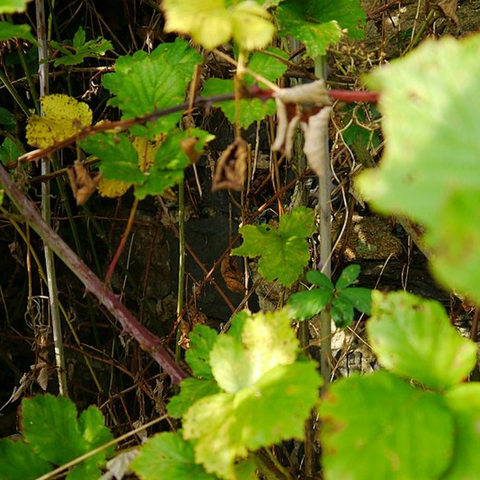 Photo de Atelier de potier dHerbignac