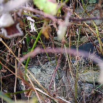 Atelier de potier dHerbignac