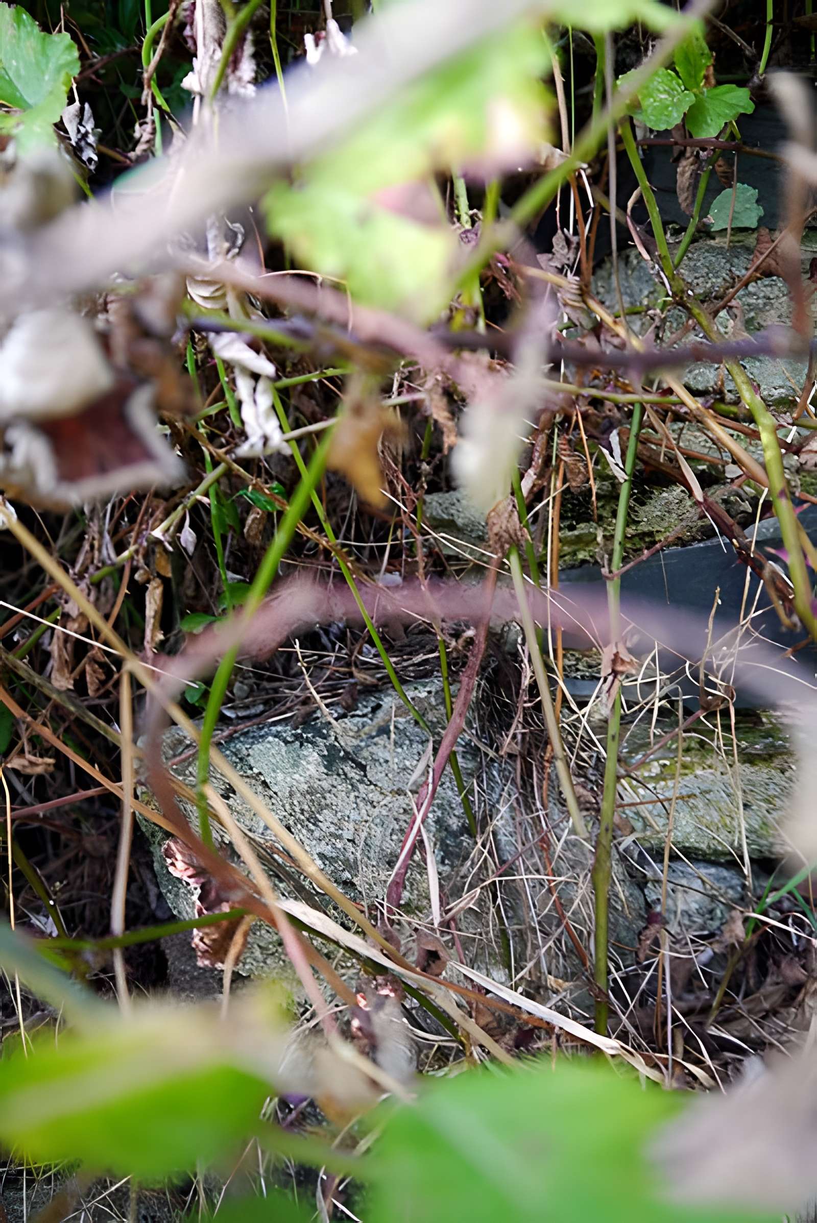 Atelier de potier d'Herbignac