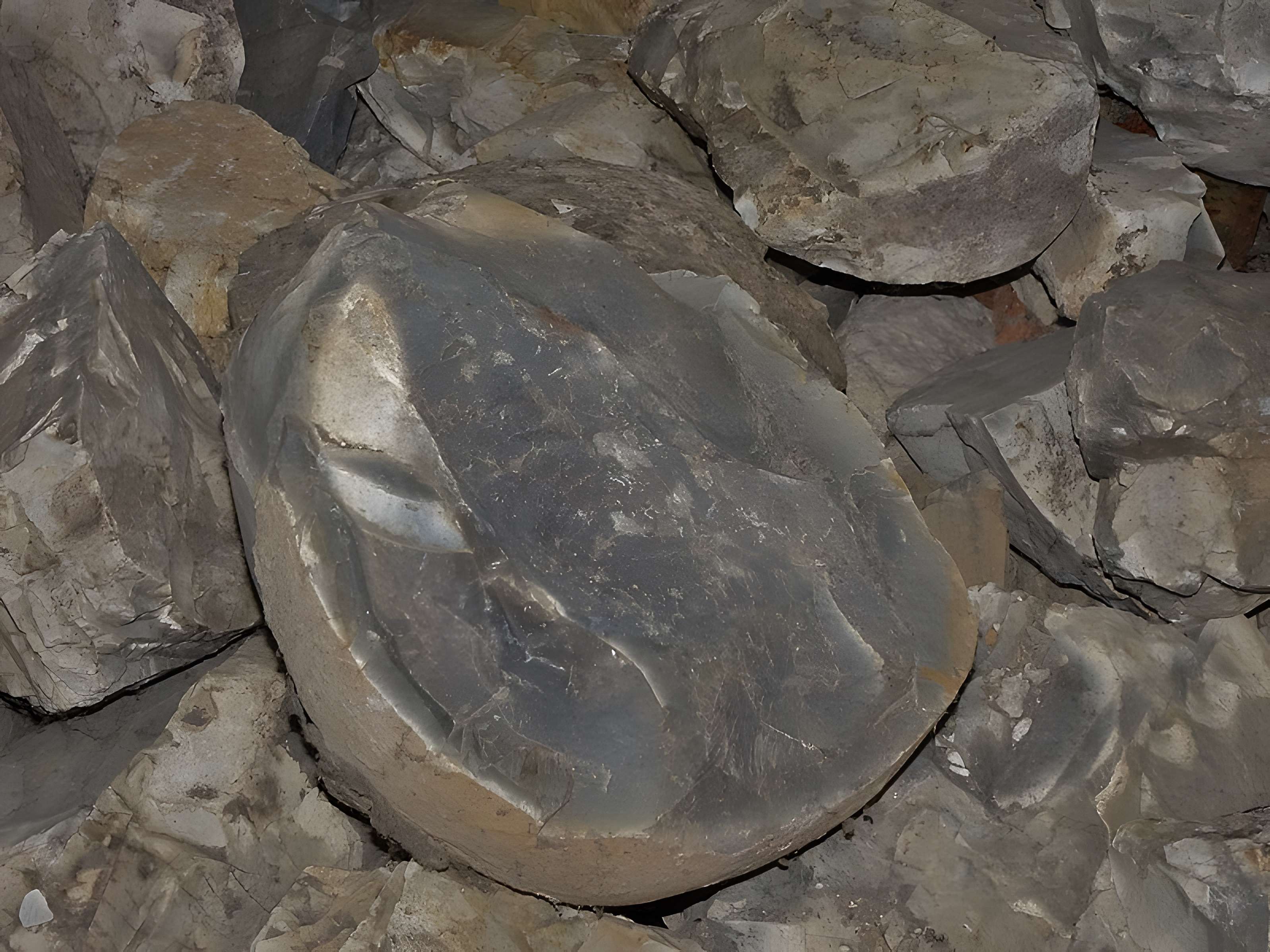 Atelier de taille de silex de Vassieux-en-Vercors