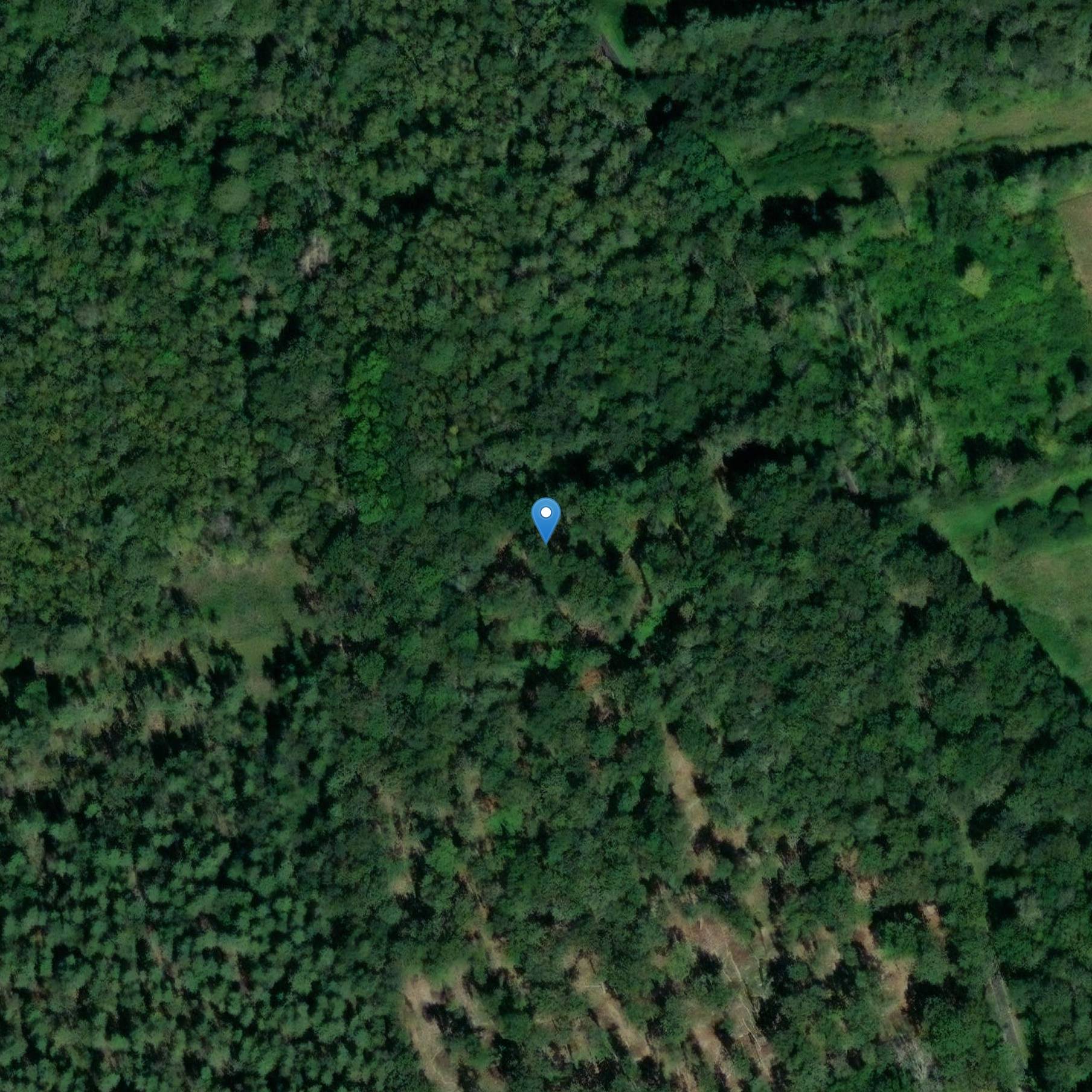 Photo de Auberge de l'Écu de France in La Ferté-Beauharnais