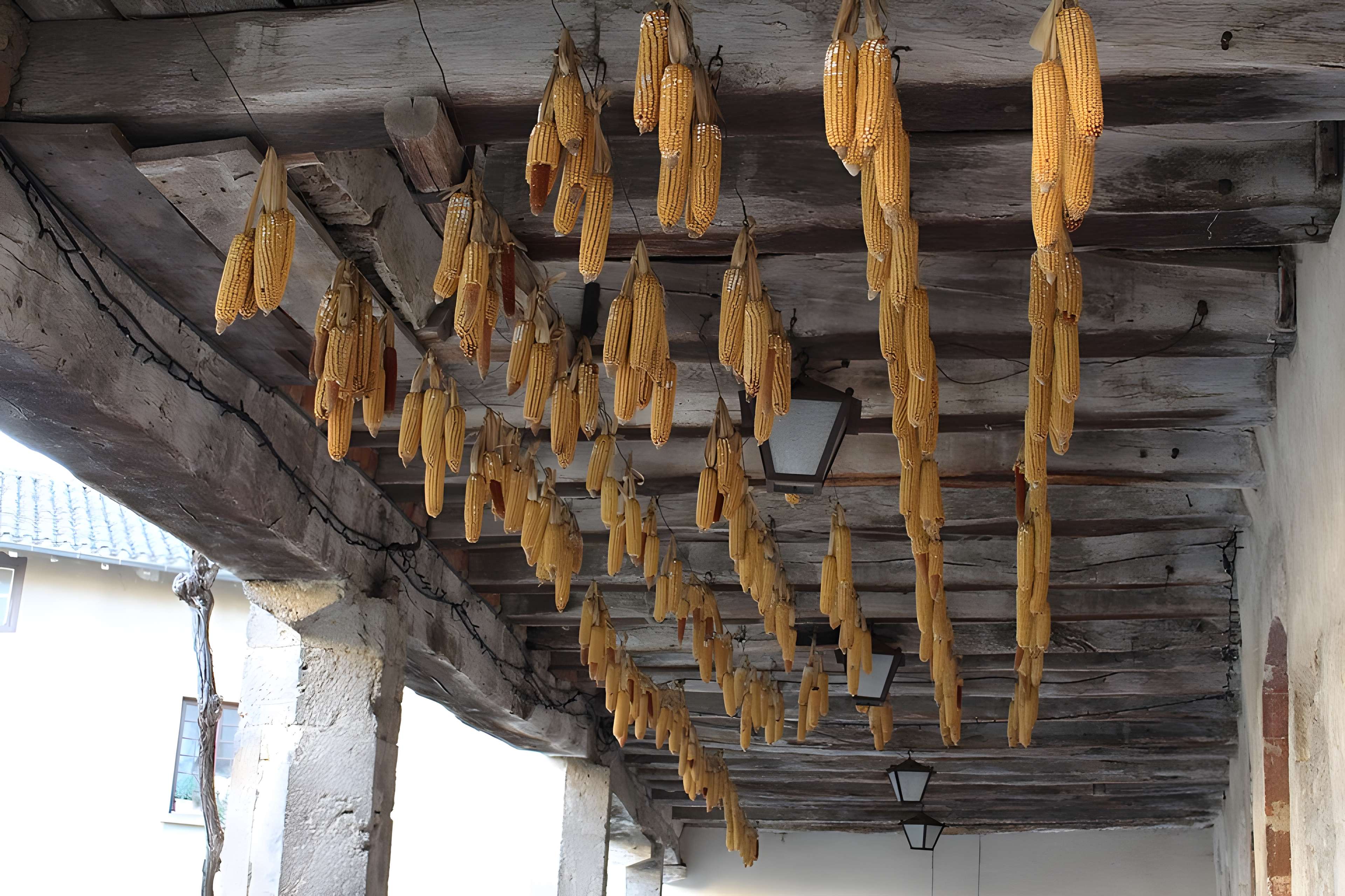 Maison Jean Escoffier à Pérouges