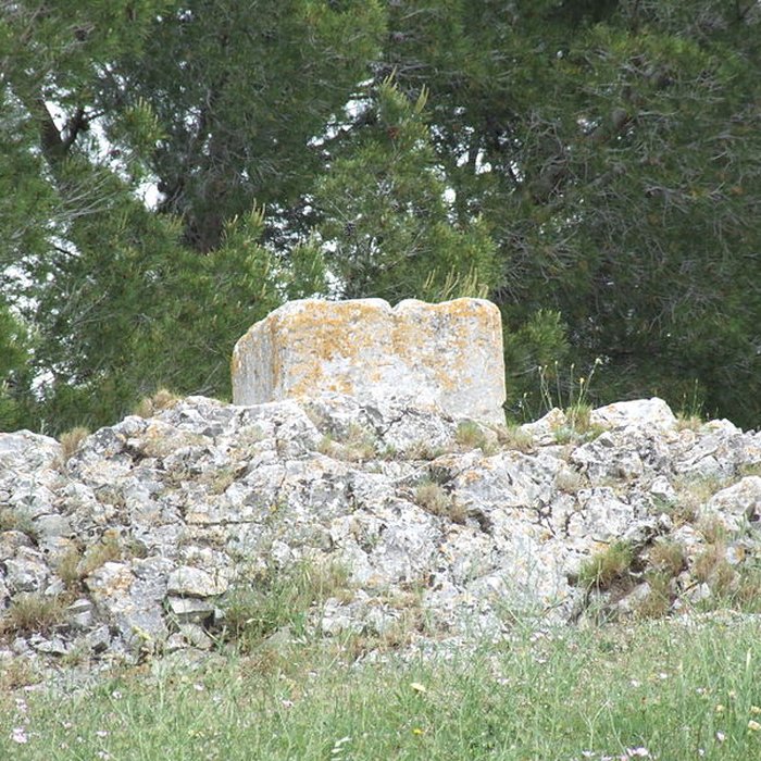 Photo de Autel de la patrie de Fontvieille