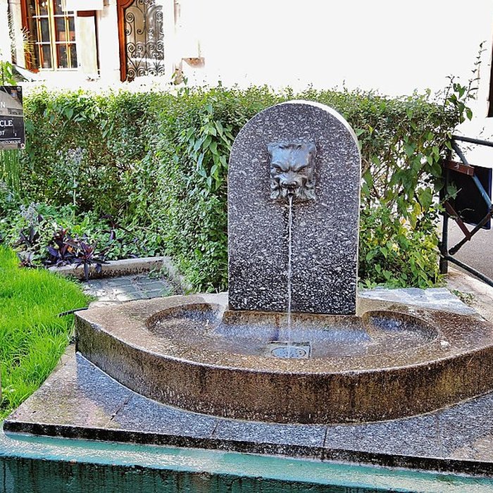 Photo de Bain romain de Plombières-les-Bains