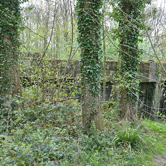 Photo de Base de lancement de V 1 du Bois des Huit Rues également sur commune de Morbecque