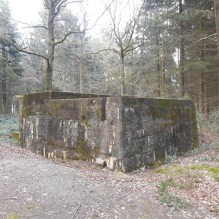 Photo de Base de lancement de V 1 du Bois des Huit Rues également sur commune de Morbecque