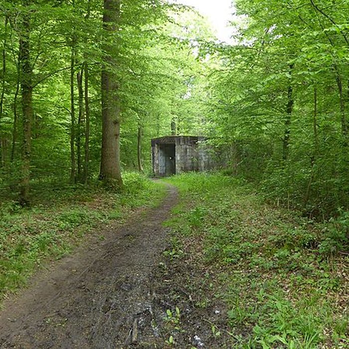 Photo de Base de lancement de V 1 du Bois des Huit Rues également sur commune de Morbecque