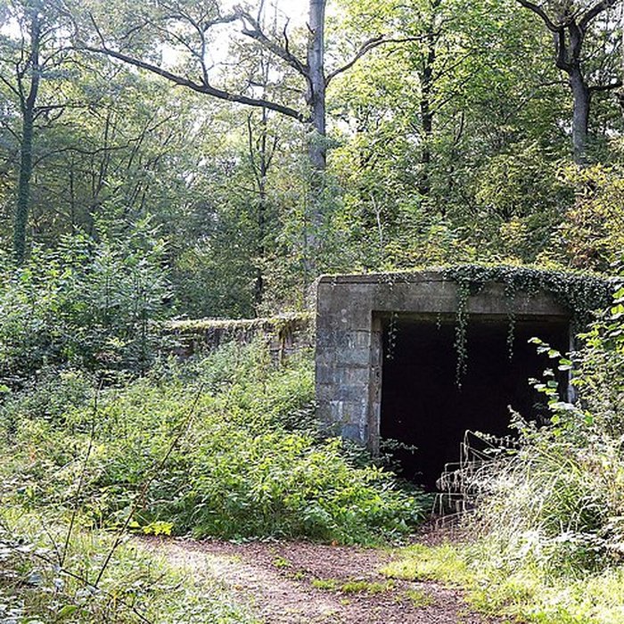 Photo de Base de lancement de V 1 du Bois des Huit Rues également sur commune de Morbecque