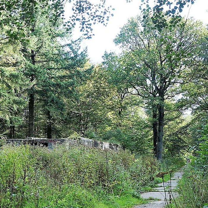 Photo de Base de lancement de V 1 du Bois des Huit Rues également sur commune de Morbecque