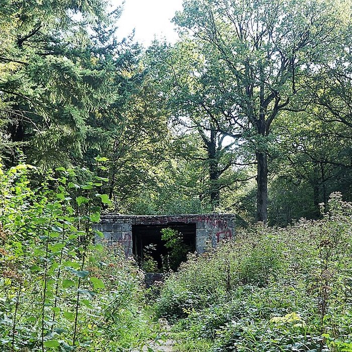 Photo de Base de lancement de V 1 du Bois des Huit Rues également sur commune de Morbecque