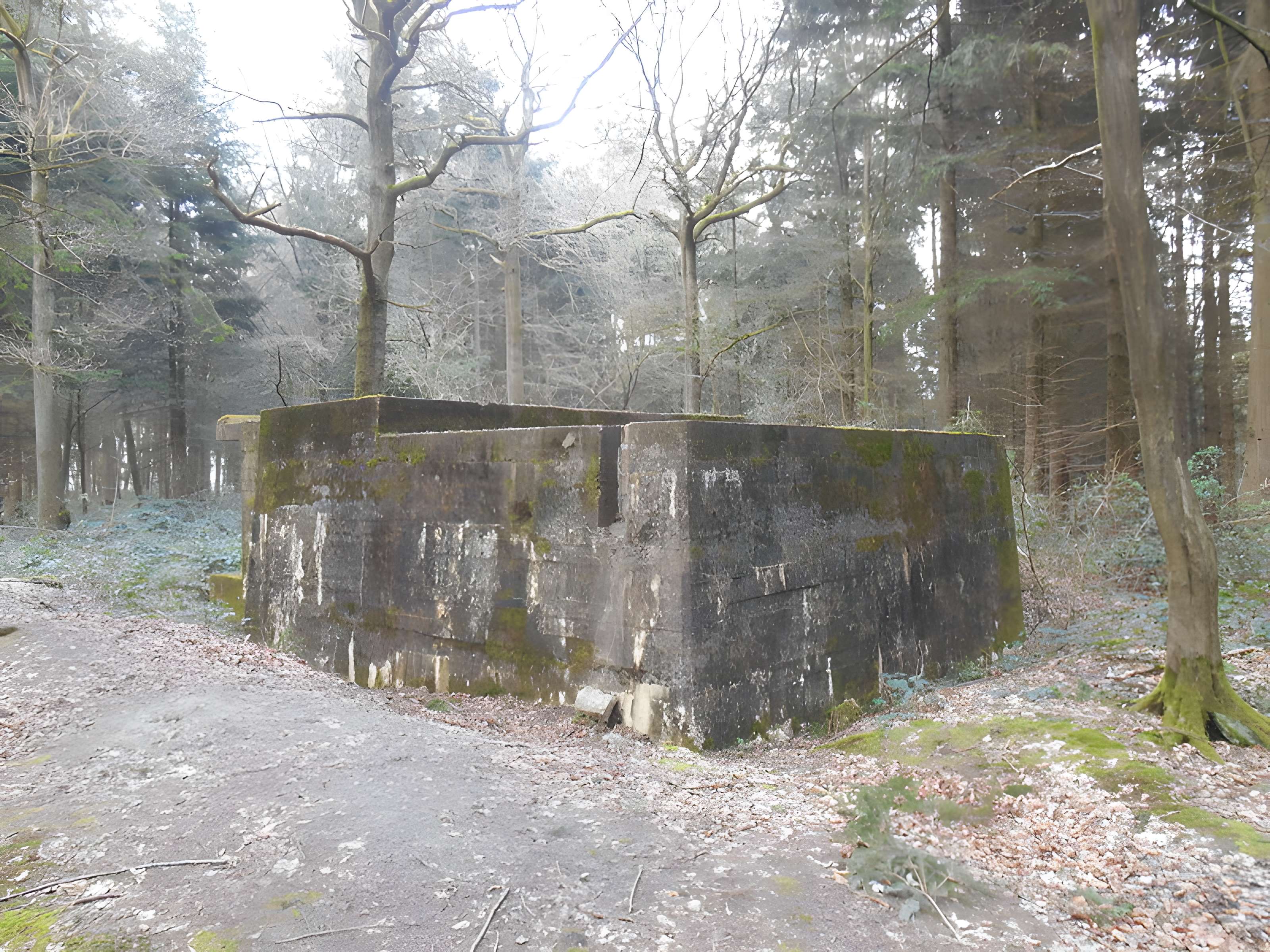 Base de lancement de V1 du bois des Huit-Rues à Morbecque