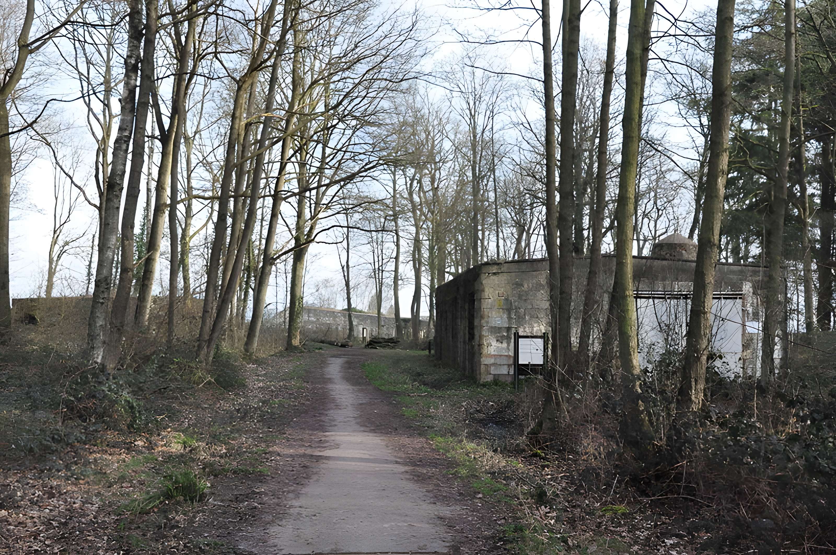 Base de lancement de V1 du bois des Huit-Rues à Morbecque