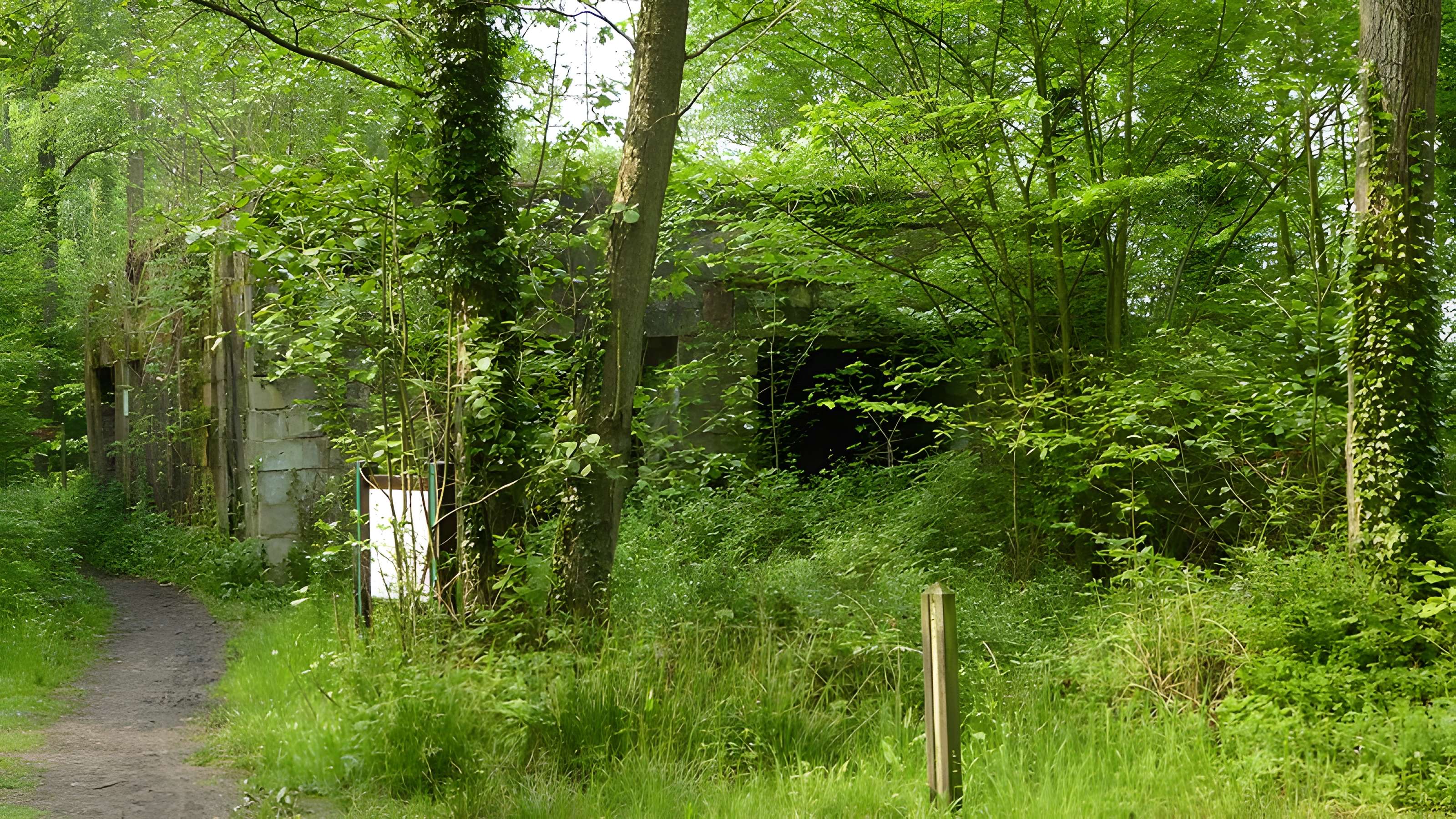 Base de lancement de V1 du bois des Huit-Rues à Morbecque