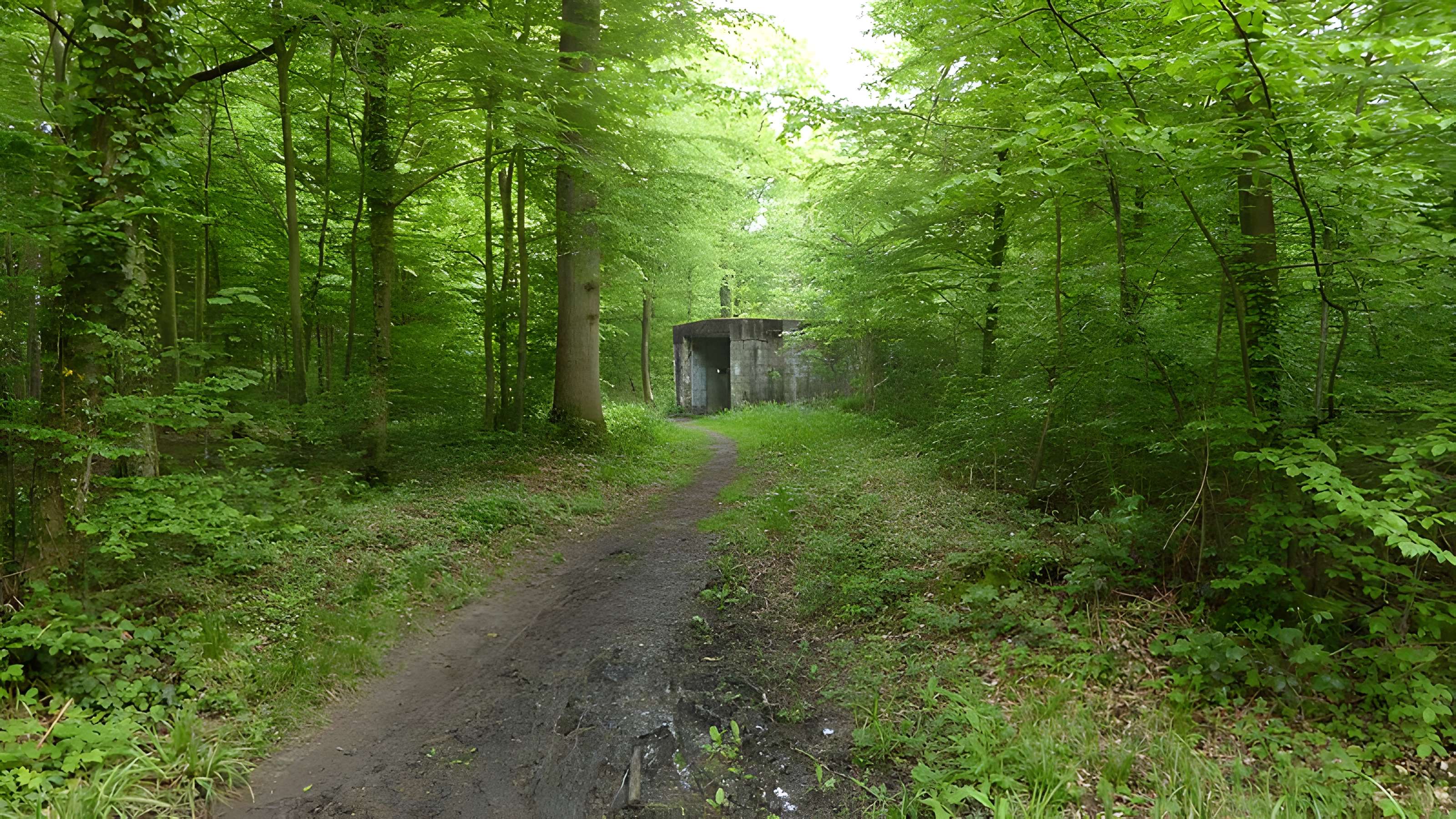 Base de lancement de V1 du bois des Huit-Rues à Morbecque