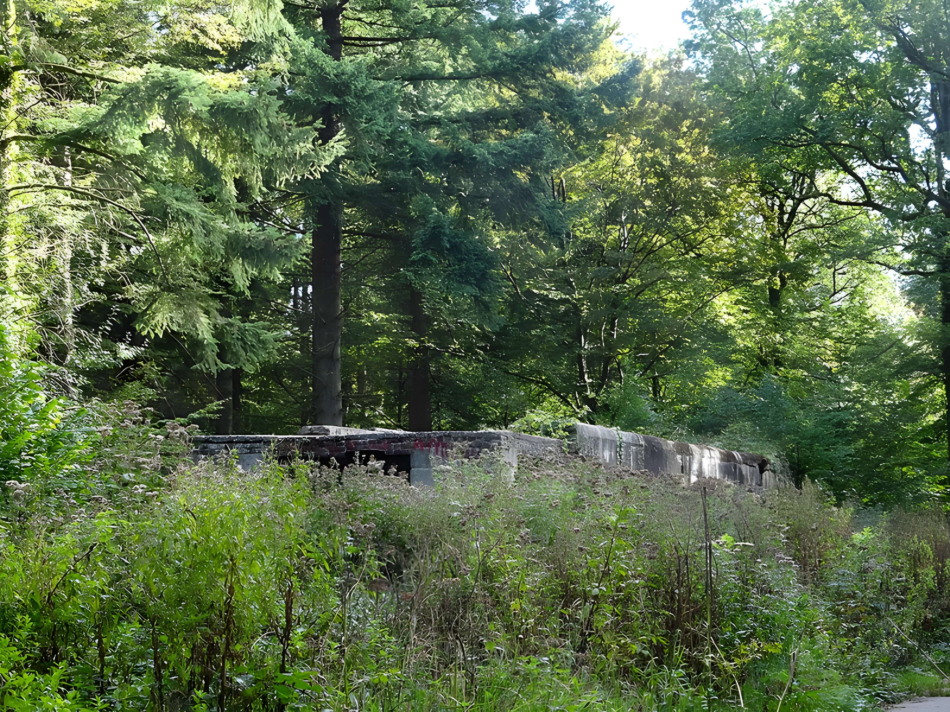Base de lancement de V1 du bois des Huit-Rues à Morbecque