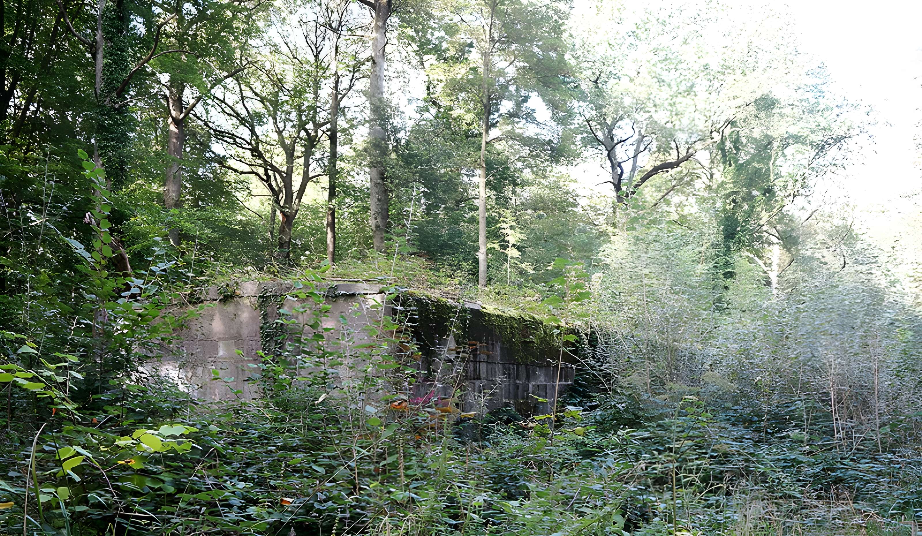 Base de lancement de V1 du bois des Huit-Rues à Morbecque