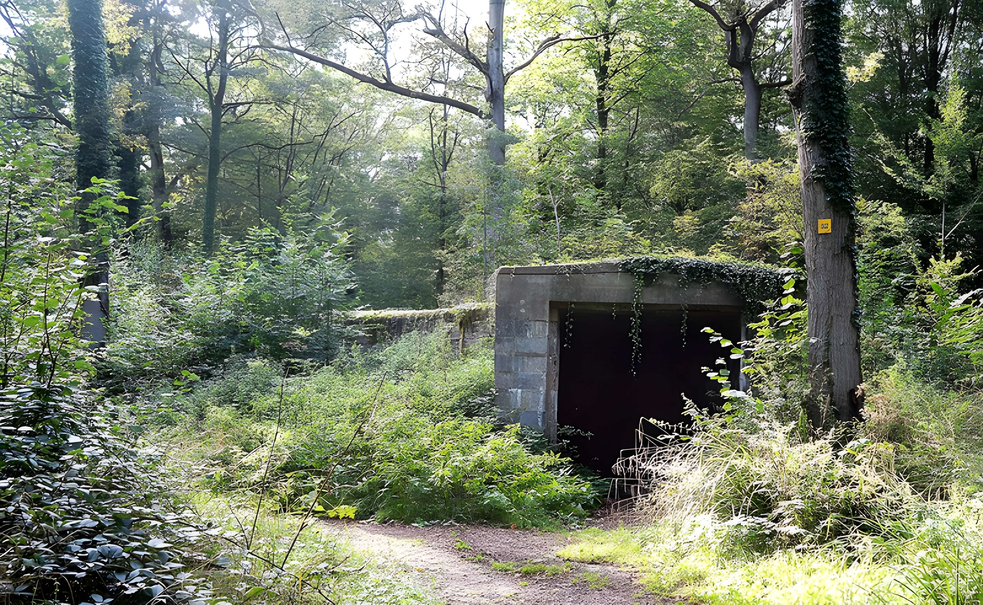 Base de lancement de V1 du bois des Huit-Rues à Morbecque