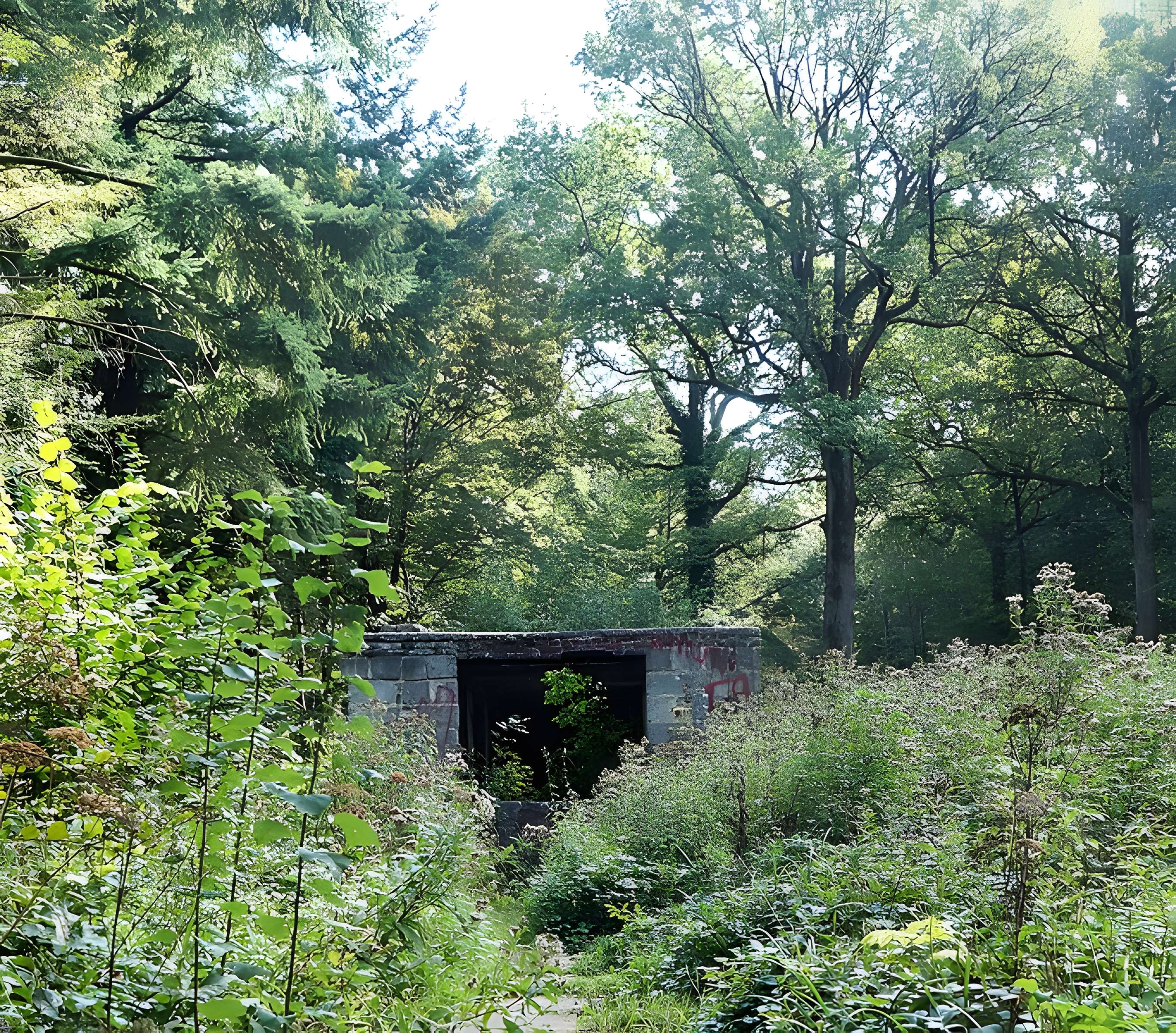Base de lancement de V1 du bois des Huit-Rues à Morbecque