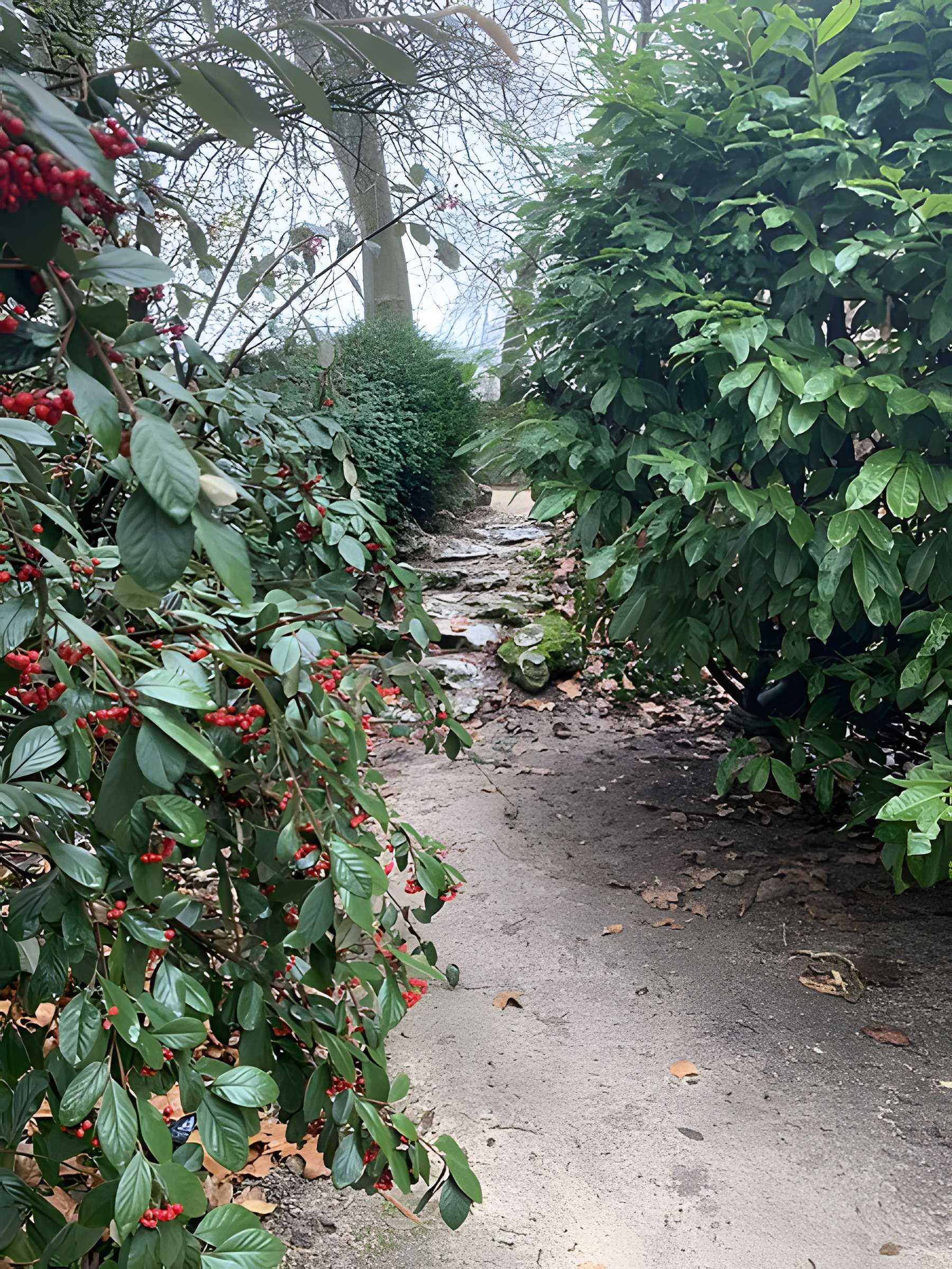 Bastion Saint-Martin de Beaune