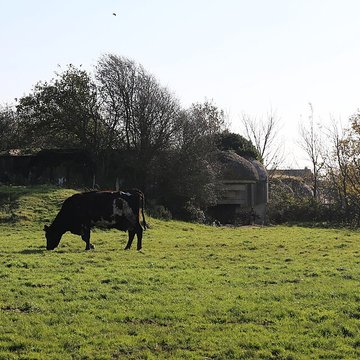 Batterie dartillerie dEcqueville