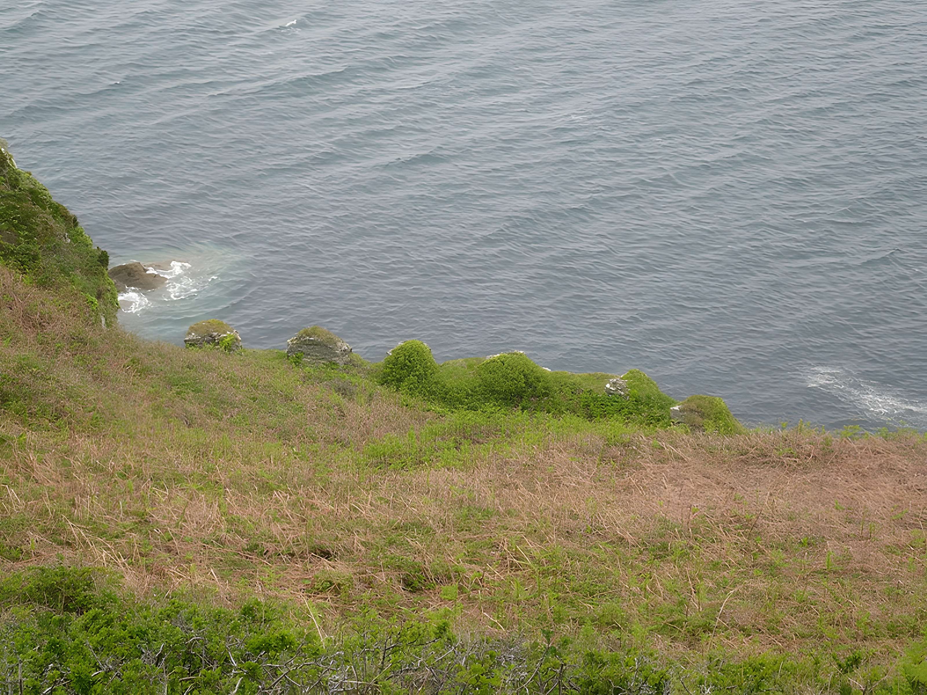 Batterie de Cornouaille de Roscanvel