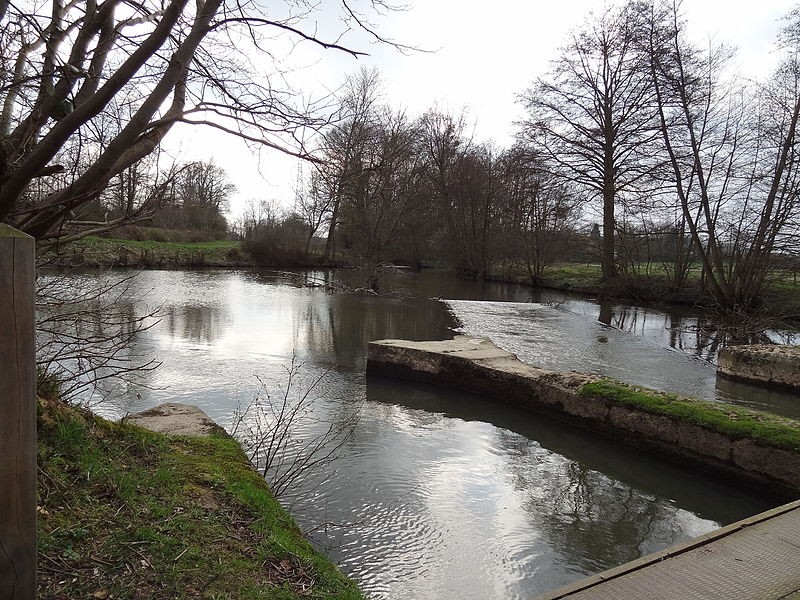 Photo de Becquet de l'Iton à Bourth