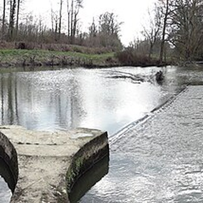 Photo de Becquet de lIton à Bourth
