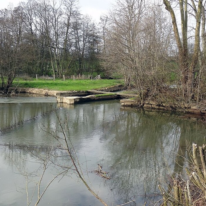 Photo de Becquet de lIton à Bourth