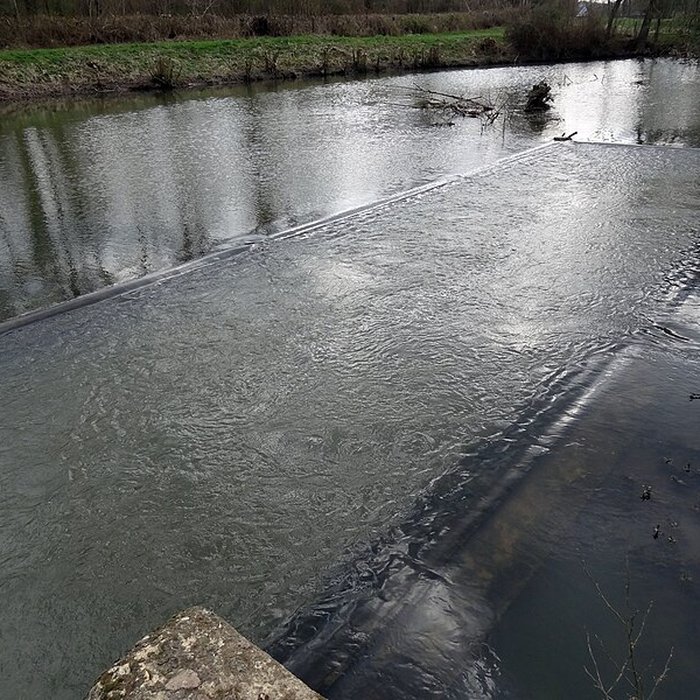Photo de Becquet de lIton à Bourth