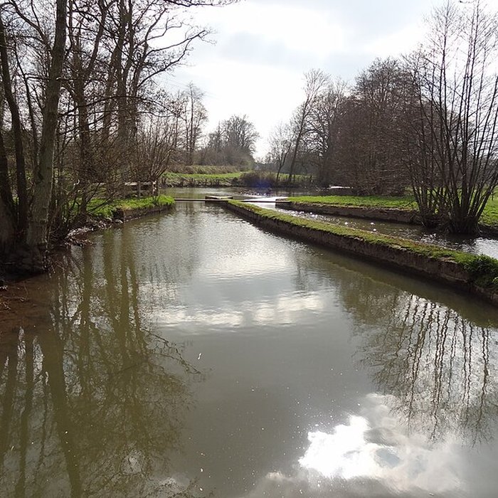 Photo de Becquet de lIton à Bourth