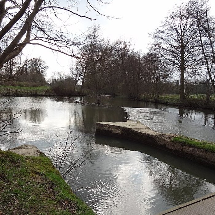 Photo de Becquet de lIton à Bourth