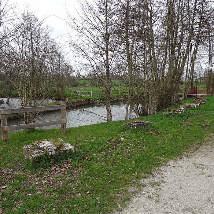 Photo de Becquet de lIton à Bourth