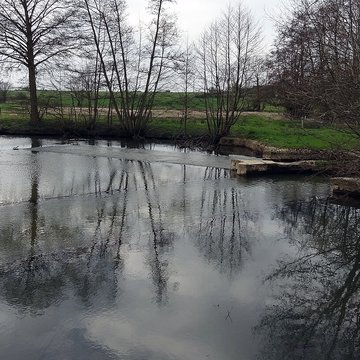Becquet de lIton à Bourth