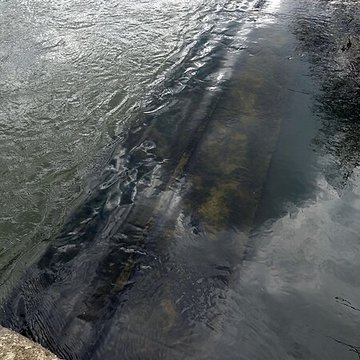 Becquet de lIton à Bourth