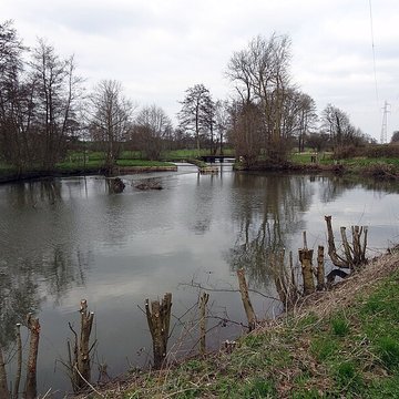 Becquet de lIton à Bourth