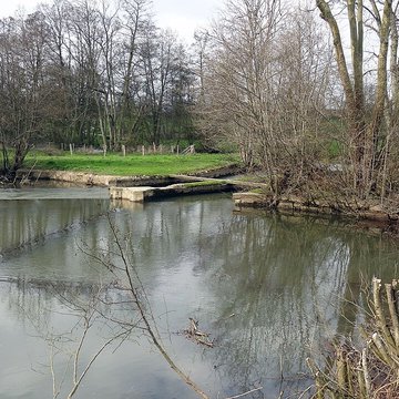 Becquet de lIton à Bourth