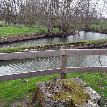 Becquet de lIton à Bourth