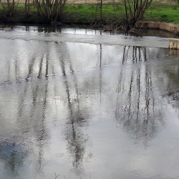 Becquet de lIton à Bourth