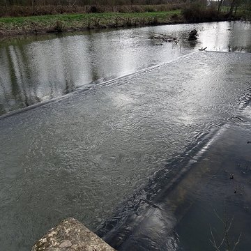 Becquet de lIton à Bourth