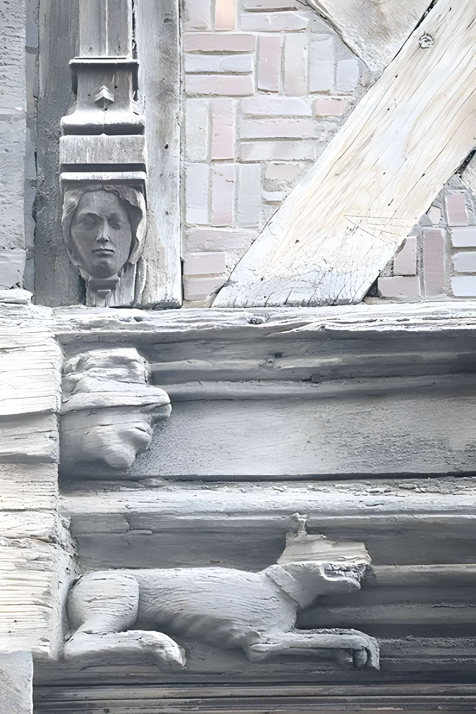 Maison Millière à Dijon