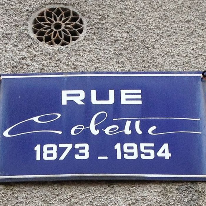 Photo de Maison natale de Colette à Saint-Sauveur-en-Puisaye