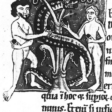 Bibliothèque municipale dAmiens