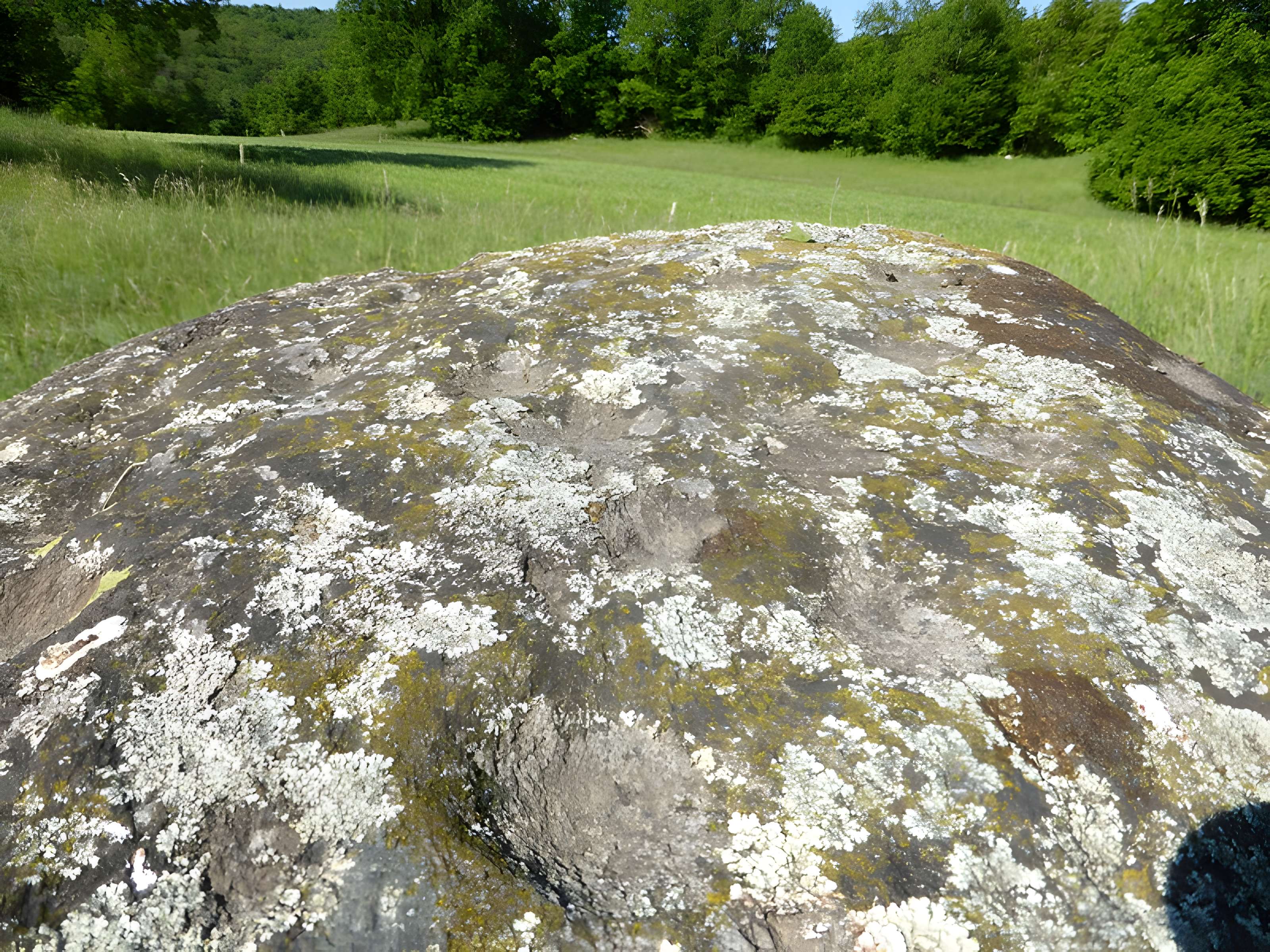 Bloc cupulaire de Lachat à Billième