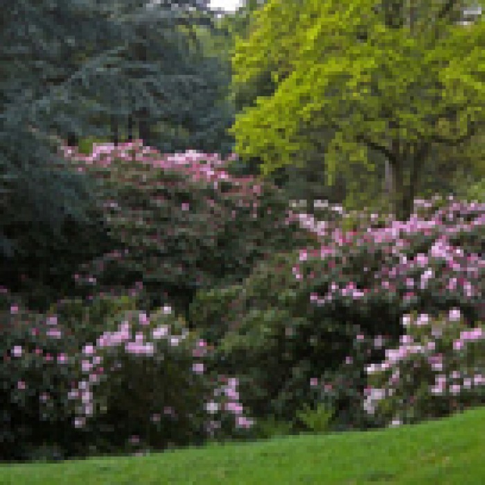 Photo de Bois des Moutiers à Varengeville-sur-Mer